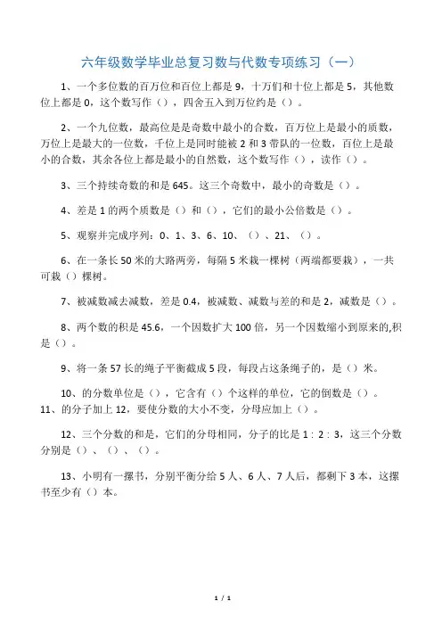 六年级数学毕业总复习数与代数专项练习(一)