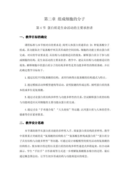 2.4 蛋白质是生命活动的主要承担者 教案【新教材】人教版(2019)高中生物必修一