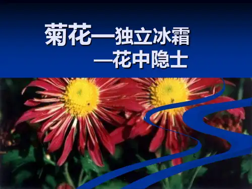 菊花介绍