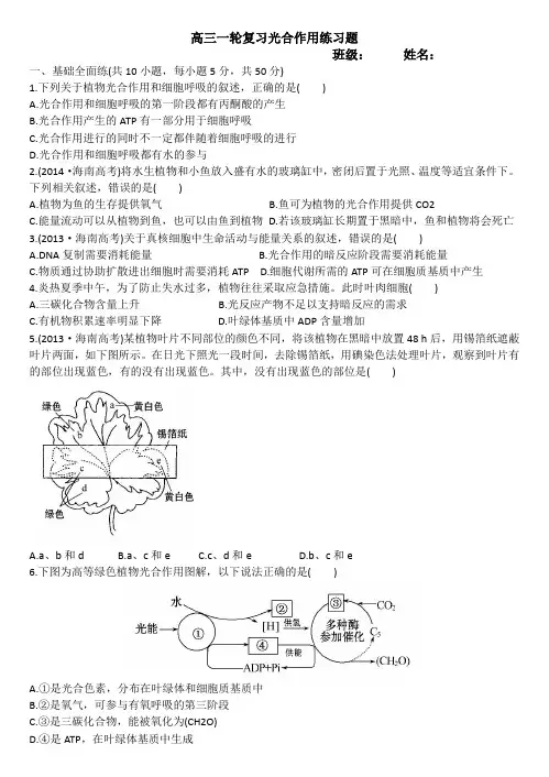 高三生物一轮复习：光合作用练习题1