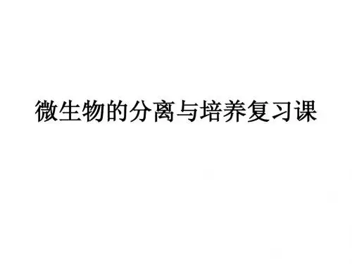 1.4微生物的培养与应用测试题_复习课
