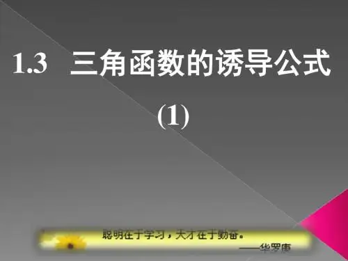 1.3-1三角函数的诱导公式(1)