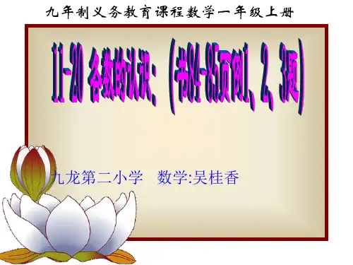 11-20各数的认识ppt