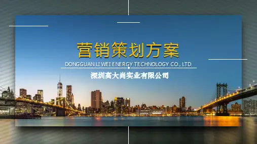 【营销】联合利华西区CEM会议方案(精品文案)