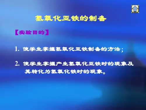 氢氧化亚铁的制备.