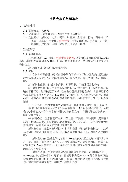 比格犬 心脏取材