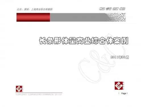 2011长条形体量商业综合体案例N