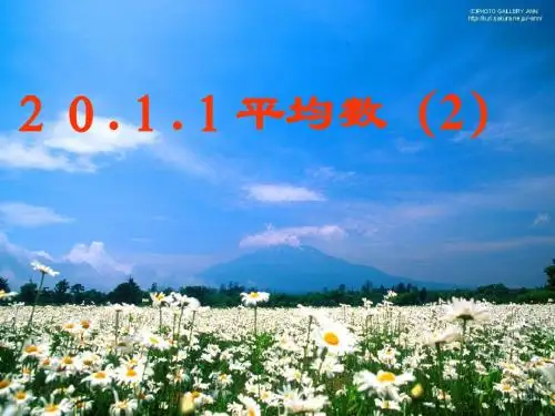 20.1.1平均数2
