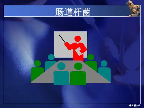 常见病原菌肠道杆菌医学PPT
