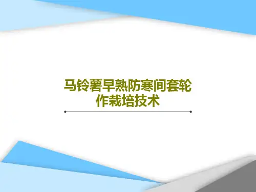 马铃薯早熟防寒间套轮作栽培技术共53页文档