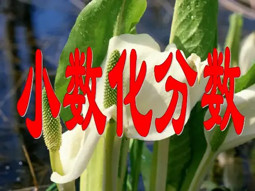 五年级下册分数与小数的互化1