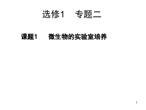 微生物实验操作PPT