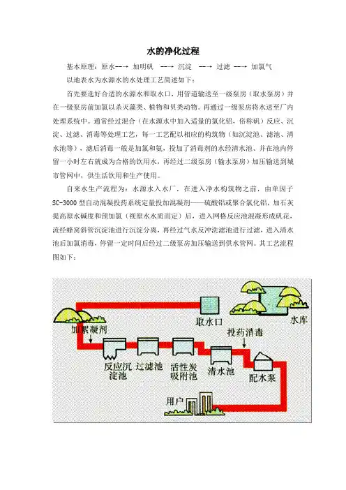 水的净化过程