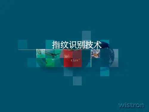 指纹识别技术