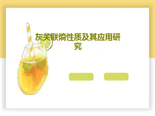 灰关联熵性质及其应用研究25页PPT