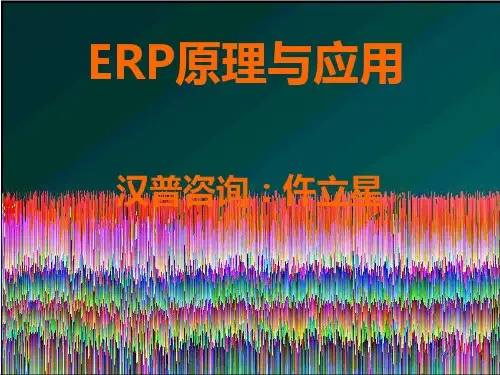 ERP原理讲座