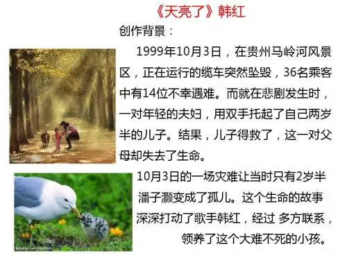 老舍 我的母亲 最新完成稿