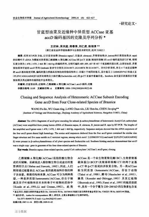 甘蓝型油菜及近缘种中异质型ACCase亚基accD编码基因的克隆及序列分析