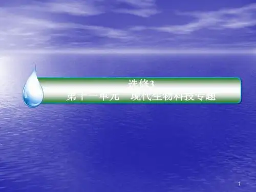 高考生物复习基因工程ppt课件