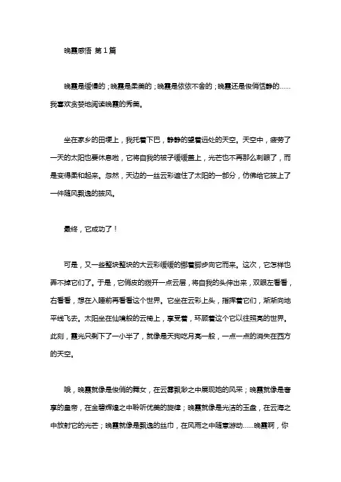 晚霞感悟(5篇)