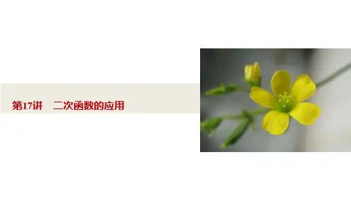 中考数学总复习17二次函数的应用 (共42张PPT)