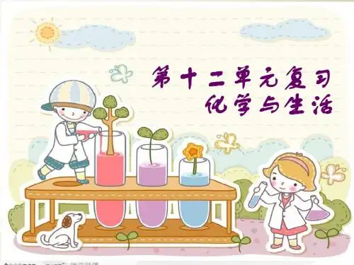 第12单元化学与生活复习
