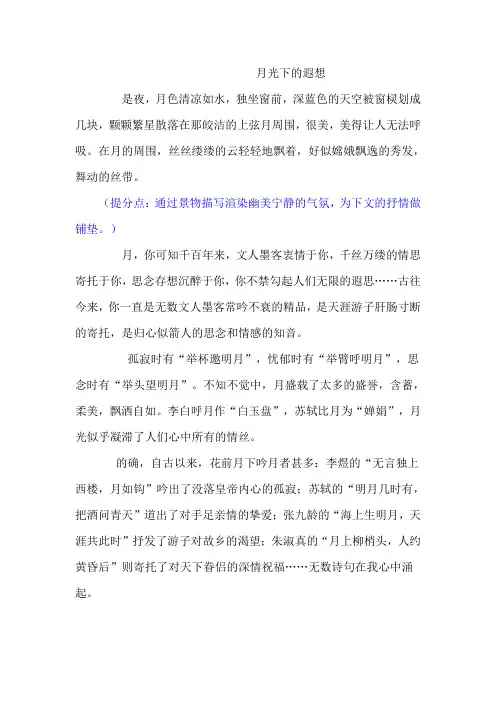 《月光下的遐想》优秀作文及点评
