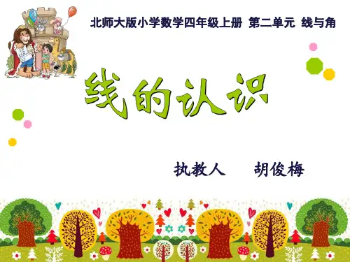 线的认识1