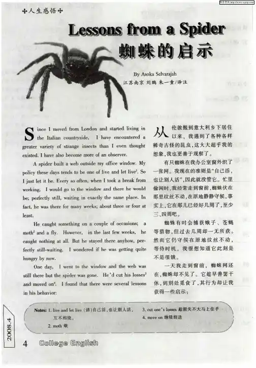 蜘蛛的启示