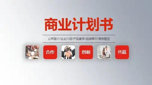 收藏品行业计划书ppt