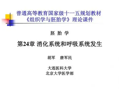 第24章消化系统与呼吸系统的发生