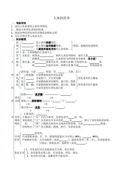人体的营养 复习导学案