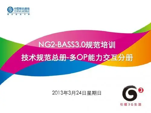 NG2-BASS3.0规范培训-技术规范-OP能力交互分册-崔洪涛