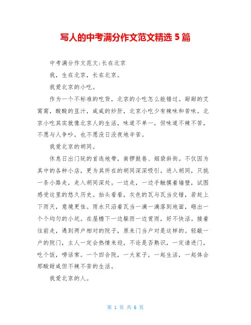 写人的中考满分作文范文精选5篇