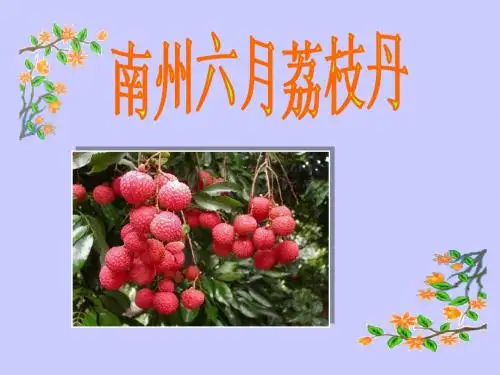 南州六月荔枝丹