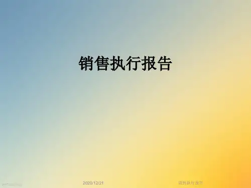 销售执行报告
