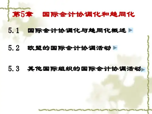 第五章  国际会计协调化和趋同化(国际会计)