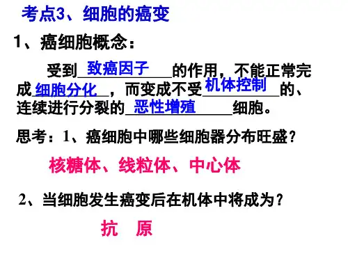 细胞的癌变
