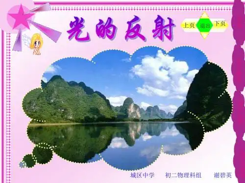 光的反射