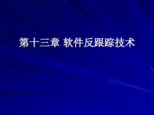 第十三章 软件反跟踪技术