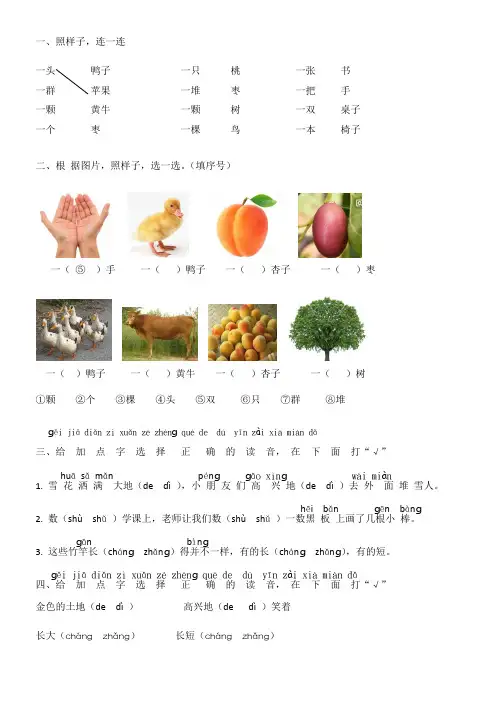数量词、选择正确读音练习题