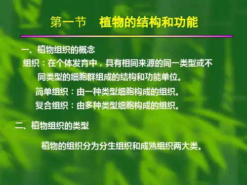 植物组织和功能