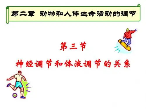 神经调节与体液调节的关系PPT