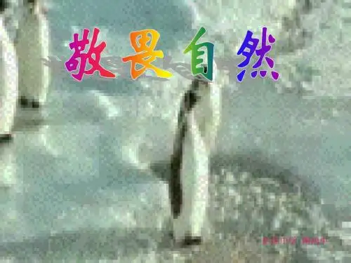 演示文稿   11《敬畏自然》