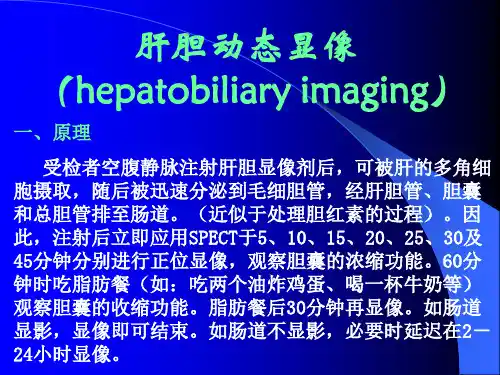 消化系统-肝胆动态显像