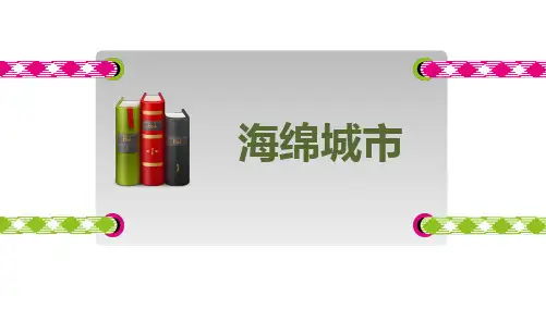 【精品推荐完整版】海绵城市分析研究【ppt版可编辑】