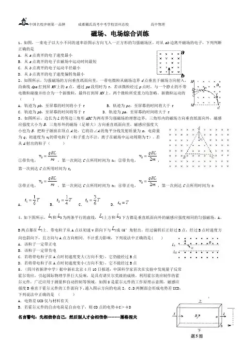 电场磁场综合题