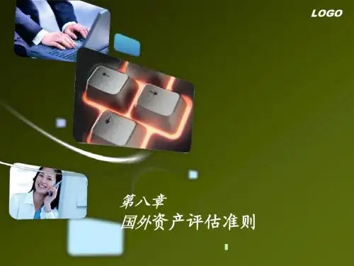 第六章国外评估准则