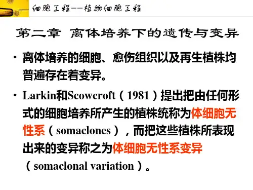4 离体培养下的遗传与变异(2学时)