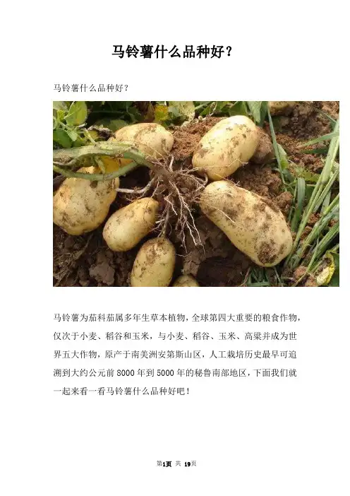 马铃薯什么品种好？